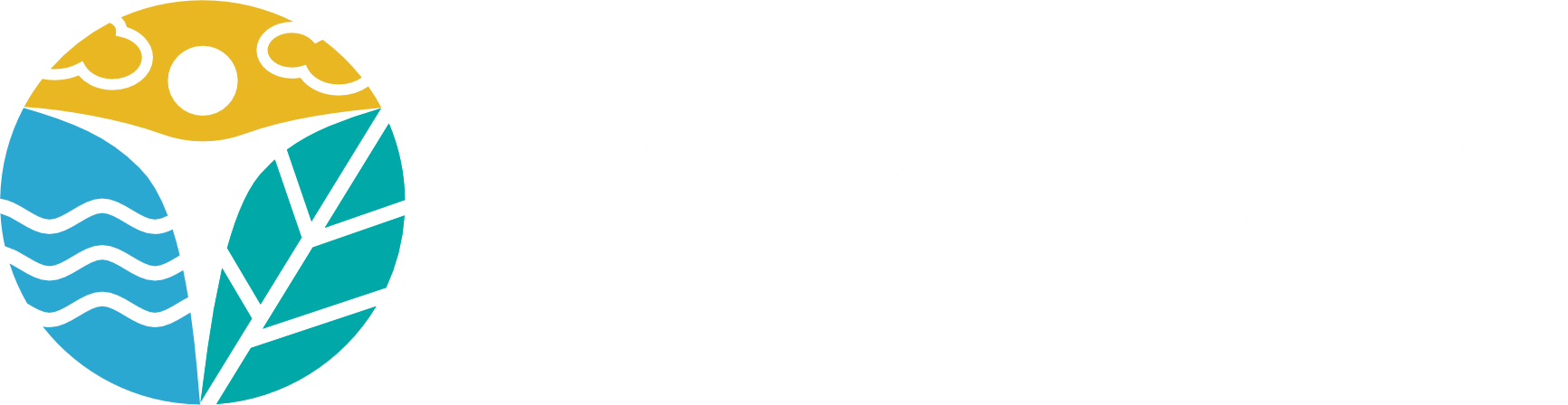 Futural project